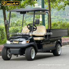 Trojan battery 2 Seater electric golf cart for sale mini golf buggy car